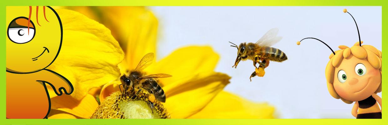 abejas